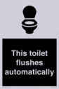 this-toilet-flushes-automatically~